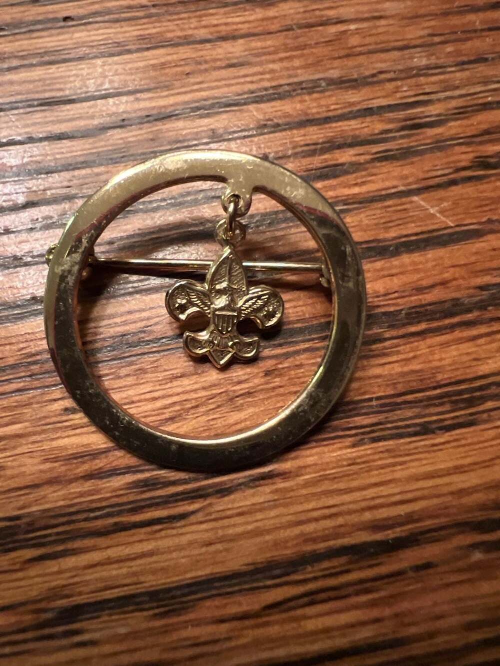 Vintage Cub Scouts Den Mother Pin